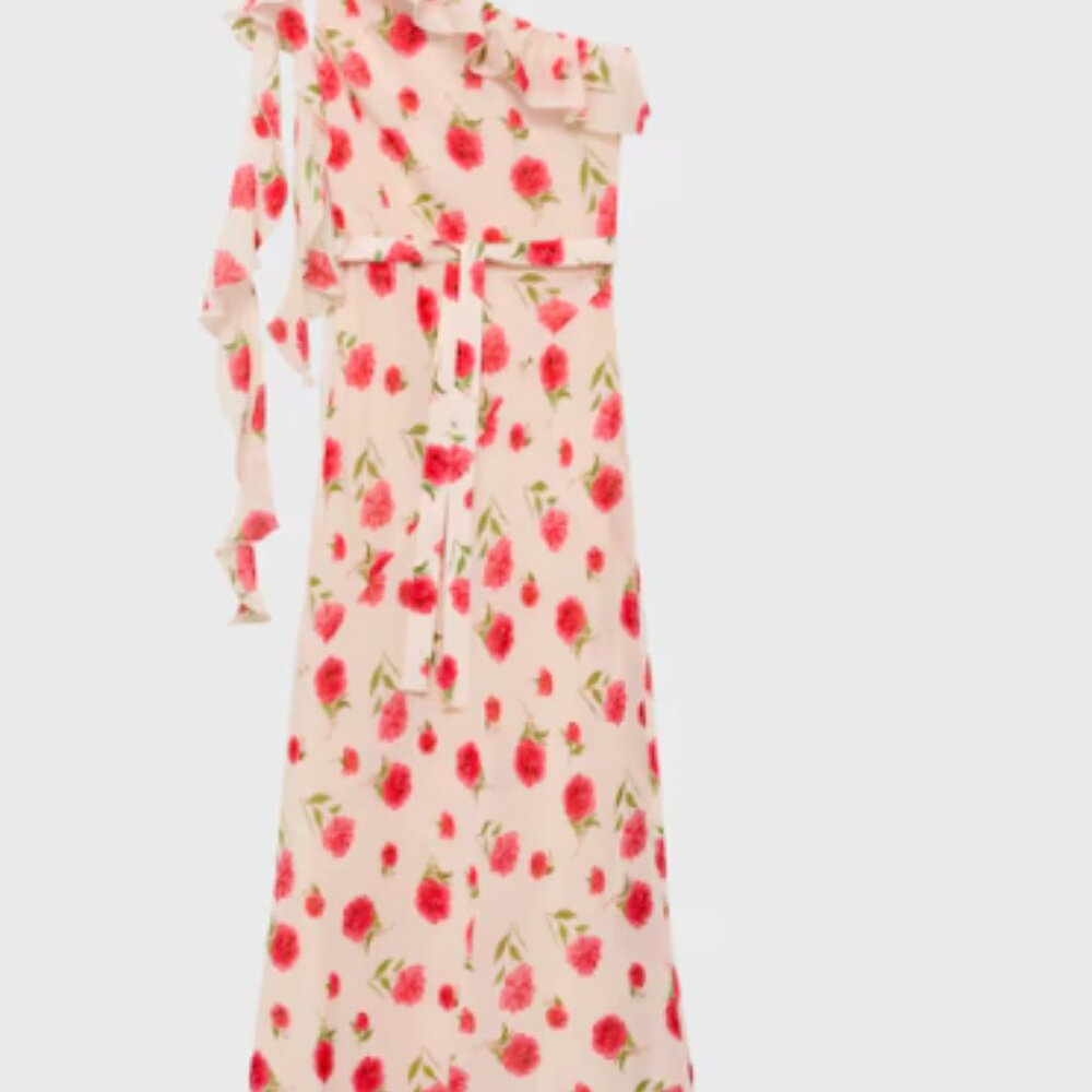 Mango Floral Ruffled Dress - Picture 8 of 9
